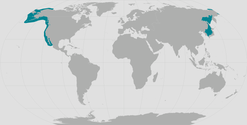 gray range.png
